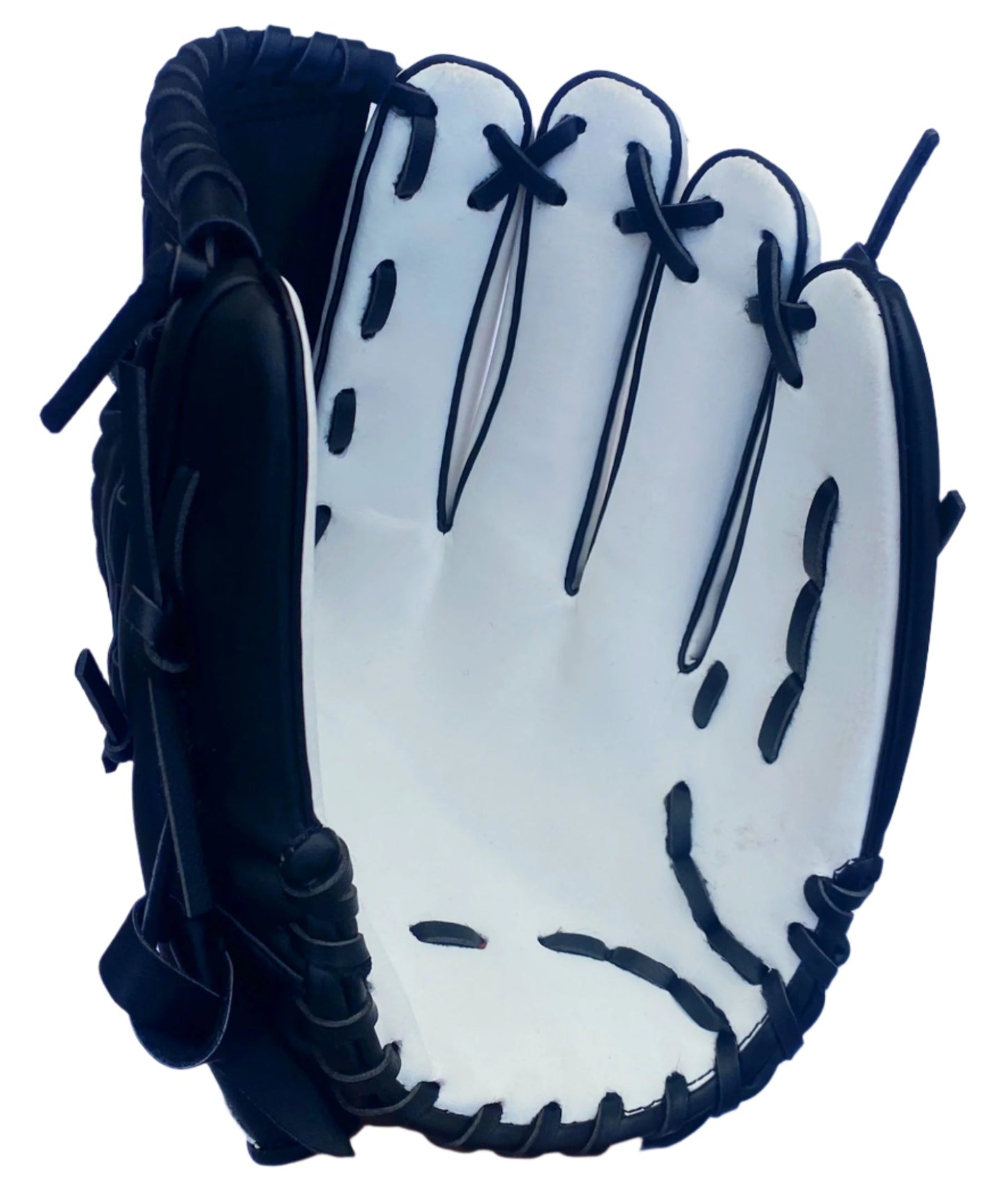 Coaches Catching Mitt