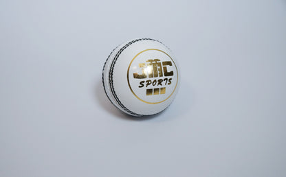 Cricket Balls - Practice Grade